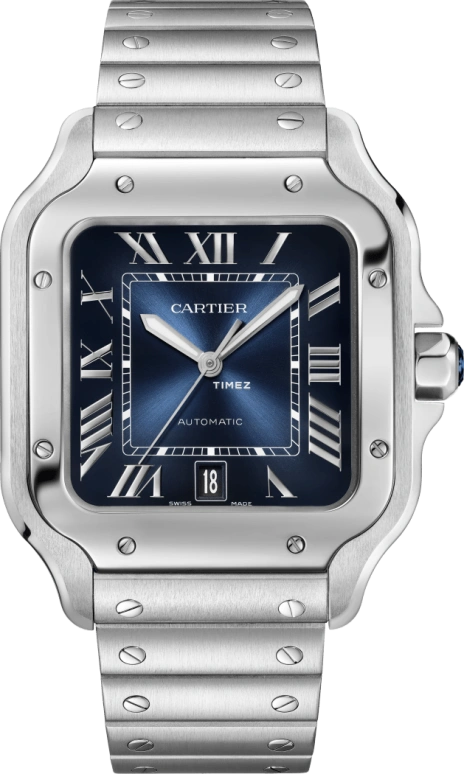Cartier wssa0071