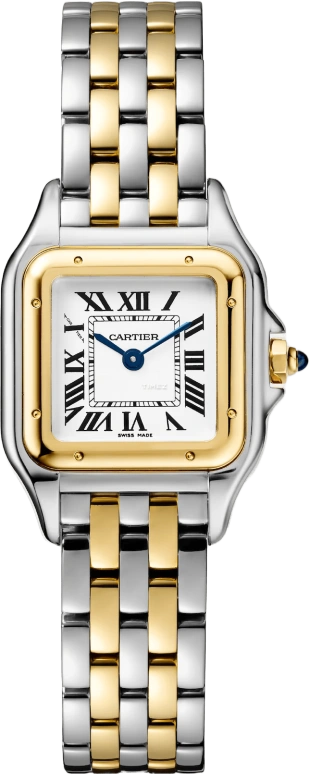Cartier w2pn0018