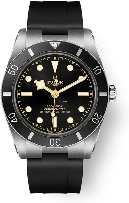 Tudor 79000n-0002